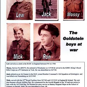 The Goldstein boys at war