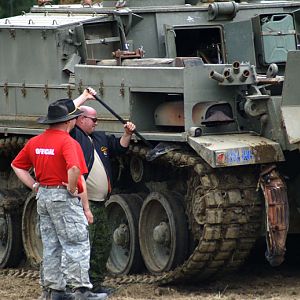 Cent with Beetle stuck In Teeth