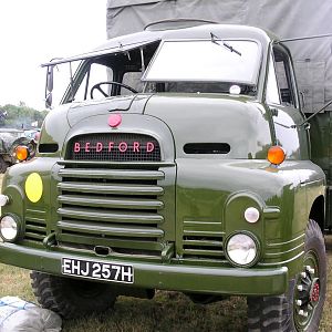 Shiny bedford