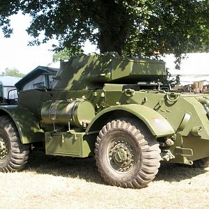 staghound