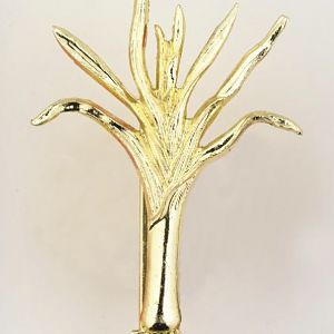 Welsh Guards, Cap Badge, IWM INS 7817