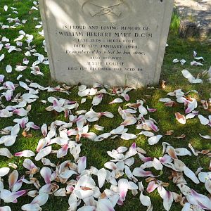 W.H.Mart Home Guard (2).JPG