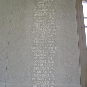 RM panel 17 middle (Large).JPG