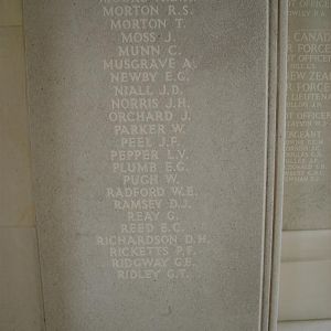 RM panel 25 bottom.JPG