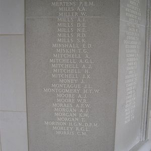 RM panel 48 bottom.JPG