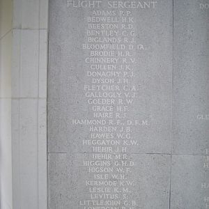 RM panel 111 middle.JPG