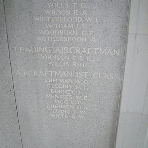 RM panel 113 bottom.JPG