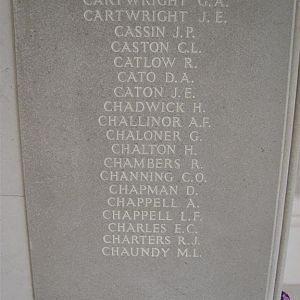 RM panel  226 bottom.JPG