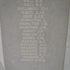 RM panel  230 bottom.JPG