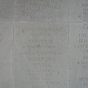 Brookwood  panel  14d (Large).JPG