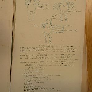 resized_P2190516.jpg