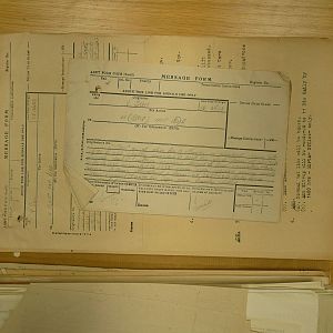 resized_P2260030.jpg