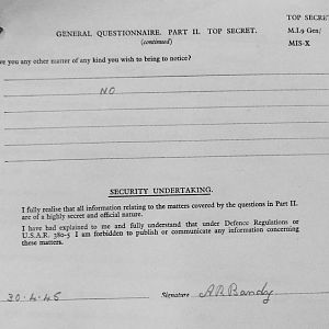 BANDY, Aubrey Randolph, 2724468, Guardsman 2nd Armoured Battalion IRISH GUARDS, Captured Germany, 20 April 1945 - WO 344-16-1