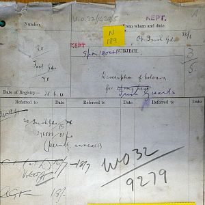 King's & Regimental Colours of Irish Guards