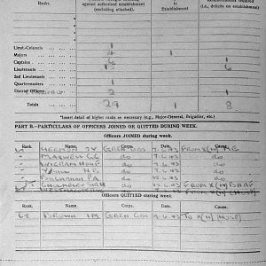 June War Diary, 6th Motor Battalion Grenadier Guards, 1943