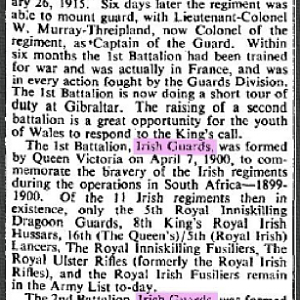 2nd Battalions, Irish Guards & Welsh Guards