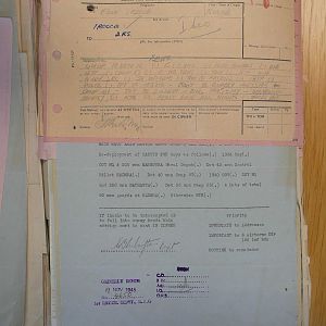 P2470865.jpg