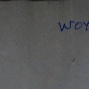 (T-Z) Who's Who of senior German Army officers (Birley's Bible)