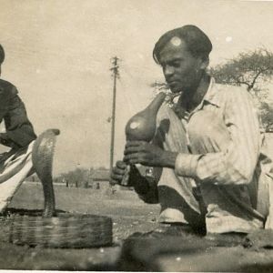 SNAKE CHARMERS