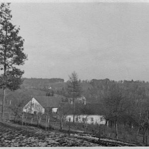 Farm View, Nestlebach?