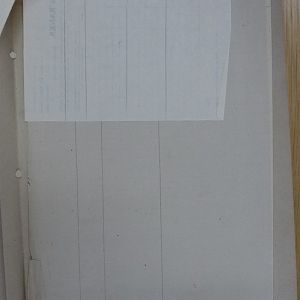 resized P4750217