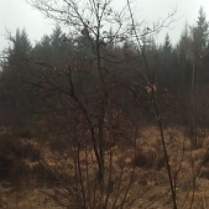 Small Ramacal Panorama