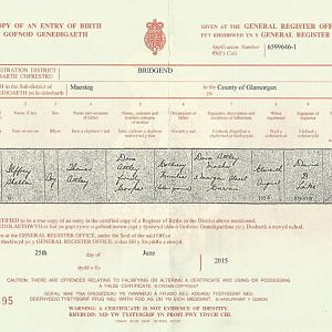 Ilfrey Shelton Attley birth certificate resized