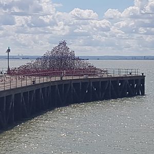 20170514_131645_resized