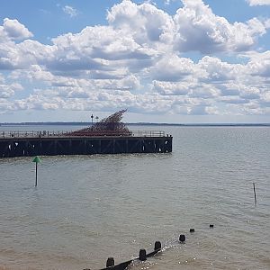 20170514_131947_resized