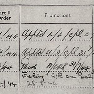 Promotions Summary Close-up