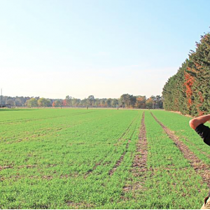 Screen Shot 2018-12-04 At 3.10.56 Pm