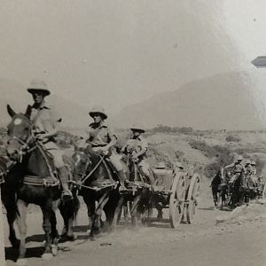 4D51D203-F8D5-4821-A066-282B56B92097