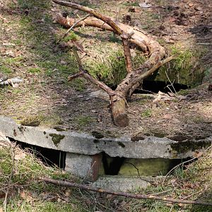 WW2 - Stalag Luft 111 - Block Drains And Showers
