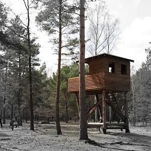Great Escape Camp